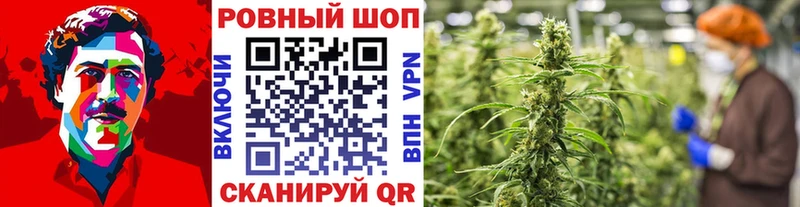 Купить закладку Новошахтинск Гашиш А ПВП Меф COCAIN