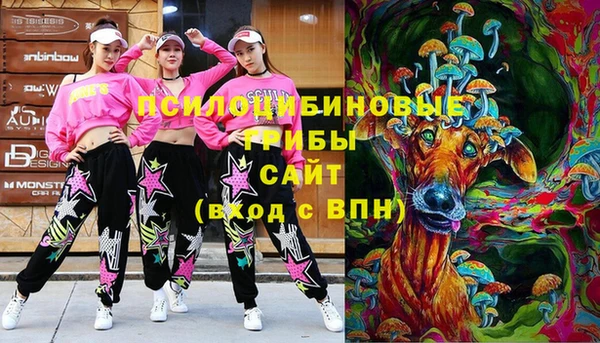 spice Волосово